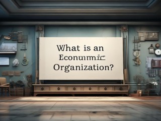 经济组织究竟是什么？