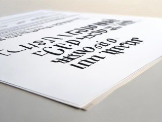 沾化区公开招聘何时开始报名？