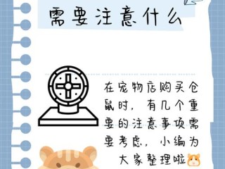 开宠物店最该注意哪些关键问题？