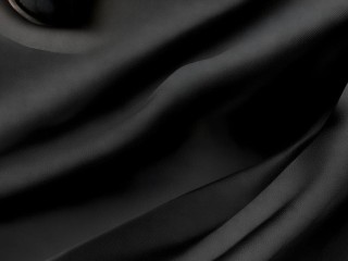 黑天鹅是什么牌子？