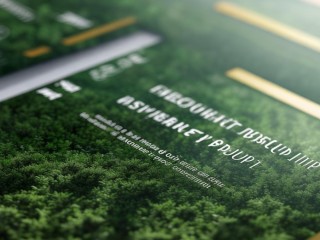 广西林业集团公开招聘有何岗位要求？