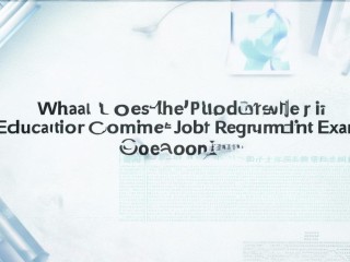 西城教委公开招聘试题考什么？