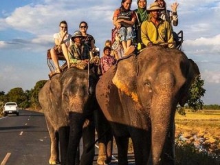 半岛奶茶有哪些热门款？