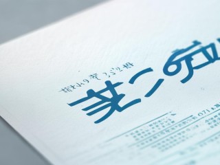 2019嘉善县公开招聘何时开始报名？
