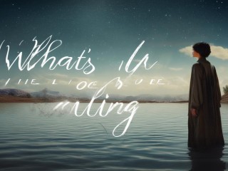 天职究竟指什么？