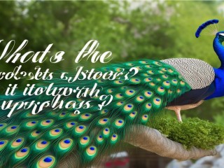 报喜鸟什么档次？值不值得买？