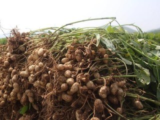 PM经理的核心职责究竟有哪些？