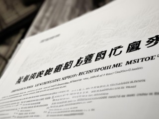 河南大学公开招聘硕士，具体要求有哪些？