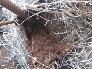 数据质检岗位职责具体包含哪些核心任务？