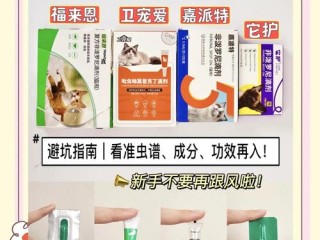 懒猫具体有哪些产品类别？