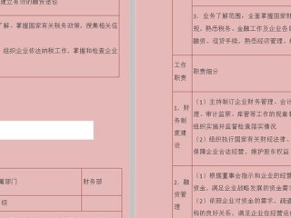 专业会计岗位职责具体包含哪些核心内容？