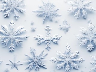 什么的雪花填空？