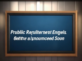 公开招聘结束，结果何时公布？