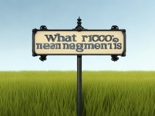 什么米管理是什么？