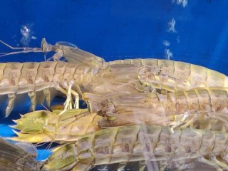 餐饮具体包含哪些类别与内容？