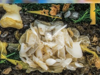 沛县教师招聘何时开始？要求有哪些？