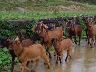 现在有哪些靠谱的致富路子？