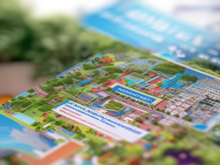 青岛幼儿园公开招聘何时开始报名？