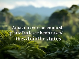 Amazon是哪个国家的电商平台？