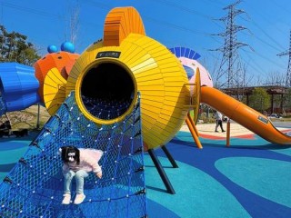 关于儿童项目有哪些