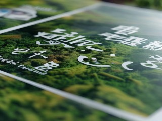 开州区公开招聘何时开始报名？