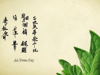 汉草究竟是什么？