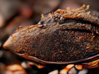 稀土究竟长啥样？