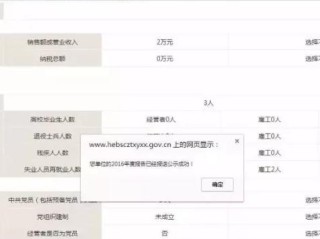 工商执照年报怎么查？