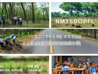 三支一扶中的三支具体指哪三项工作？