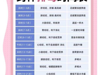 都有哪些养生项目