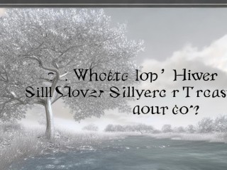 银宝究竟指什么？