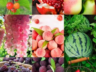 哪些大众水果更营养健康？