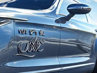 骏宝是什么品牌的车？