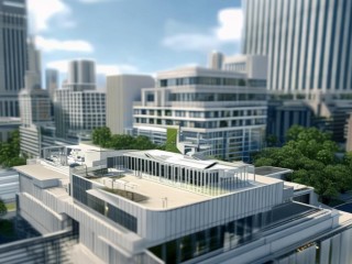 市容局是负责什么的政府部门？