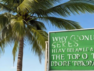 椰树为何能成国货顶流？