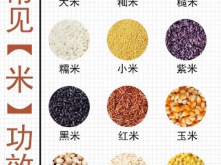 米色具体有哪些常见分类与色调？