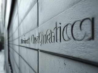 直属机构是什么？隶属关系与职能如何界定？