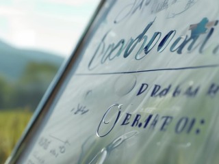 金州招聘乡村医生，有何具体要求？