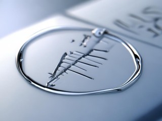 护士上岗证是什么？