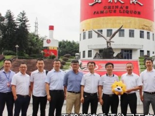 IT经理岗位职责具体包含哪些核心任务？