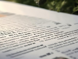 襄阳市公开招聘方案具体有哪些内容？