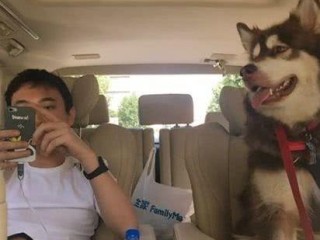 酒吧安保具体职责有哪些？