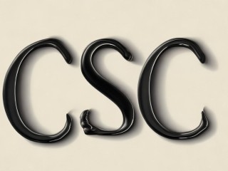 CSC究竟是什么意思？