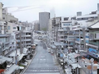 森林的幸福，是树影与鸟鸣的共舞吗？