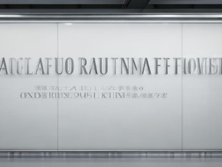 禄劝事业单位公开招聘何时开始？