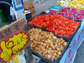 新兴生意有哪些？热门方向与机会在哪？