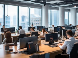 京东商城是家什么样的公司？