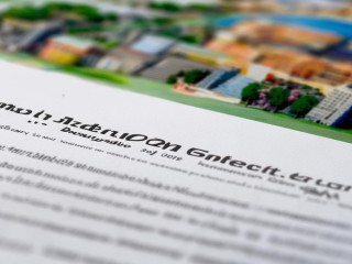 南岸区2017公开招聘有何具体要求？