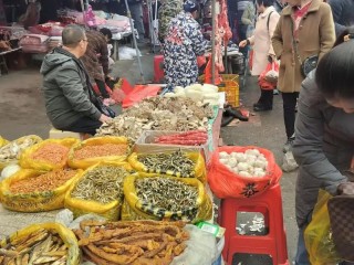 农村有哪些好做的生意？