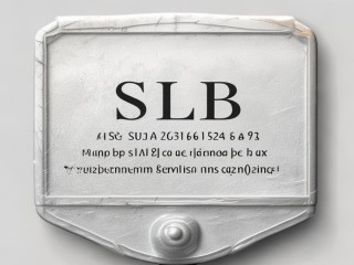 SLB是哪个缩写？具体指什么含义？
